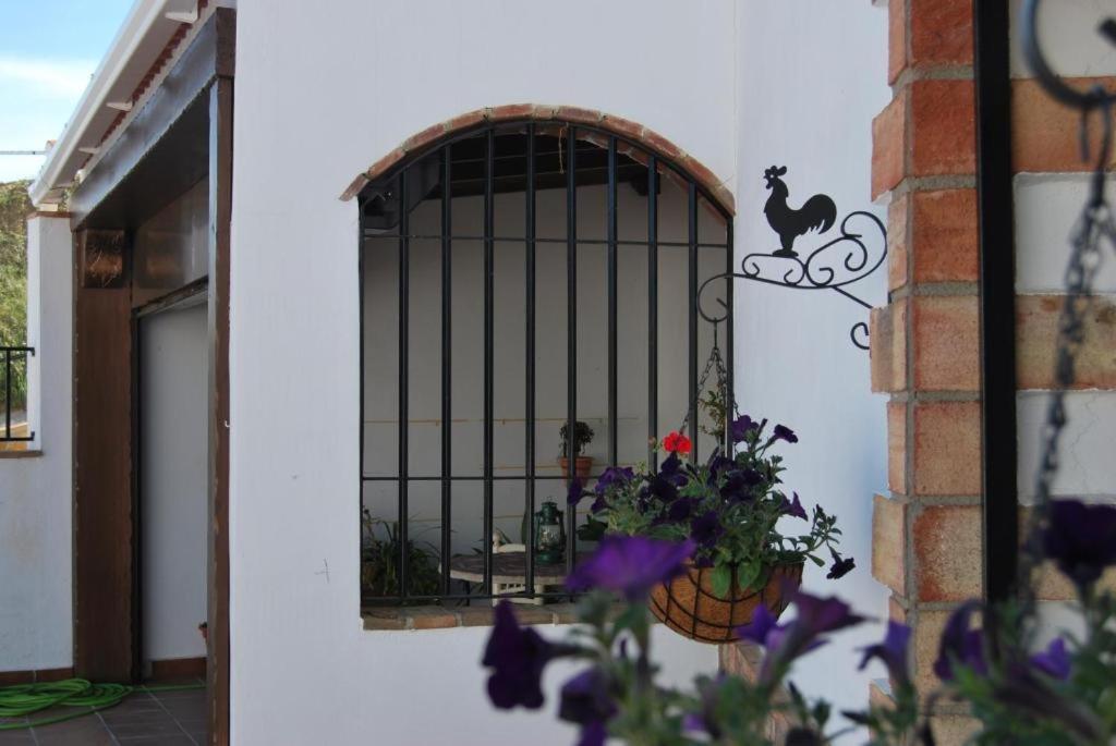 Cueva La Ermita Guadix Exterior foto